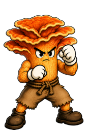 Chickie, a chicken-of-the-woods mushroom fighter