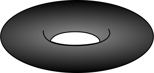 Negative Nothing — black coin with white void center