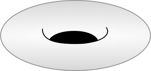 Nothing — a pale coin with a black void at its center